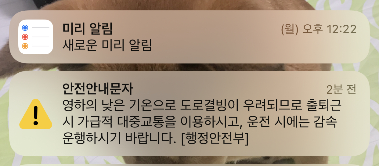 [잡담] 새벽에는 조용하던 재난문자가 지금오네 ㅋㅋㅋㅋ | 인스티즈