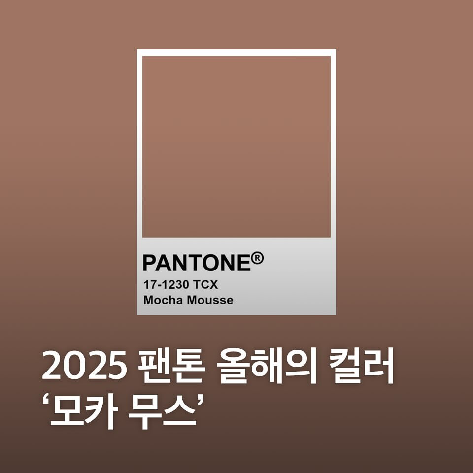 [정보/소식] 2025 팬톤(pantone) 올해의 컬러 발표 | 인스티즈