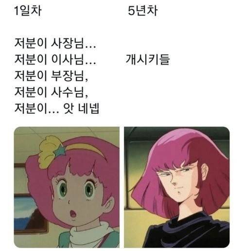 [잡담] 회사 3년차에 벌써 꼬우면 자르시던가 마인드 되어버림 | 인스티즈