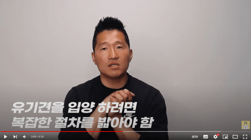 [정보/소식] 생각보다 사람들이 유기견 입양 안하고 펫샵에서 반려동물 사는 이유 | 인스티즈