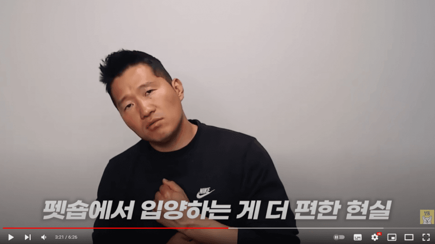 [정보/소식] 생각보다 사람들이 유기견 입양 안하고 펫샵에서 반려동물 사는 이유 | 인스티즈