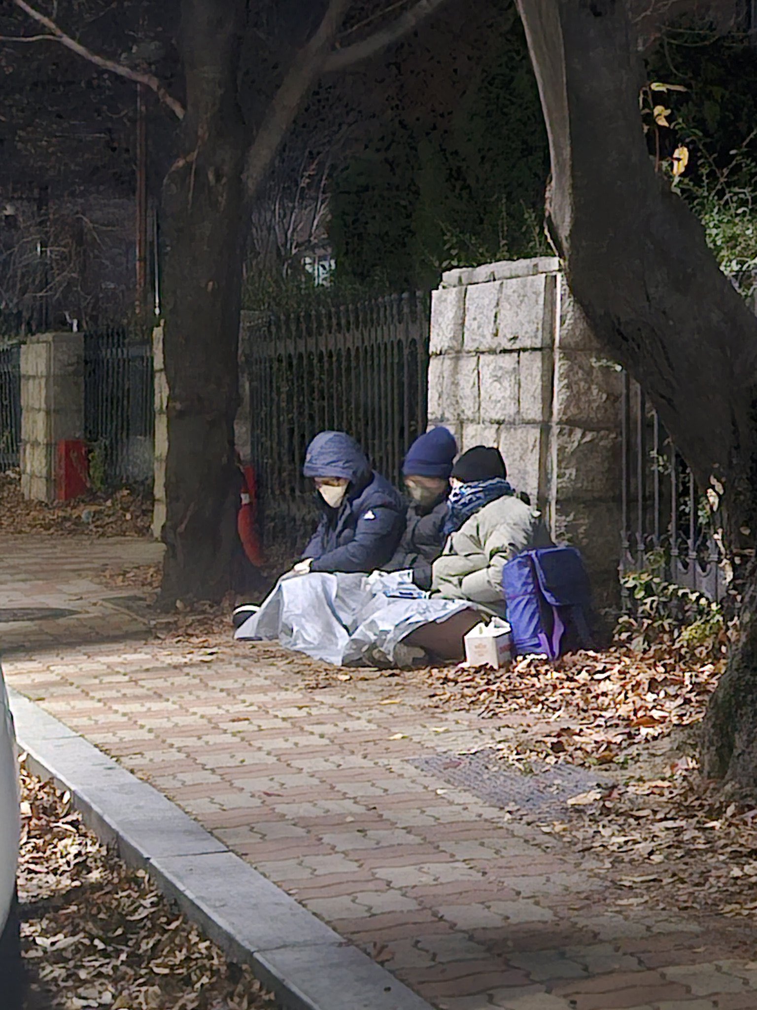 [잡담] 계엄이후 국민의 모습과 민주당과 국민의 힘 차이 | 인스티즈