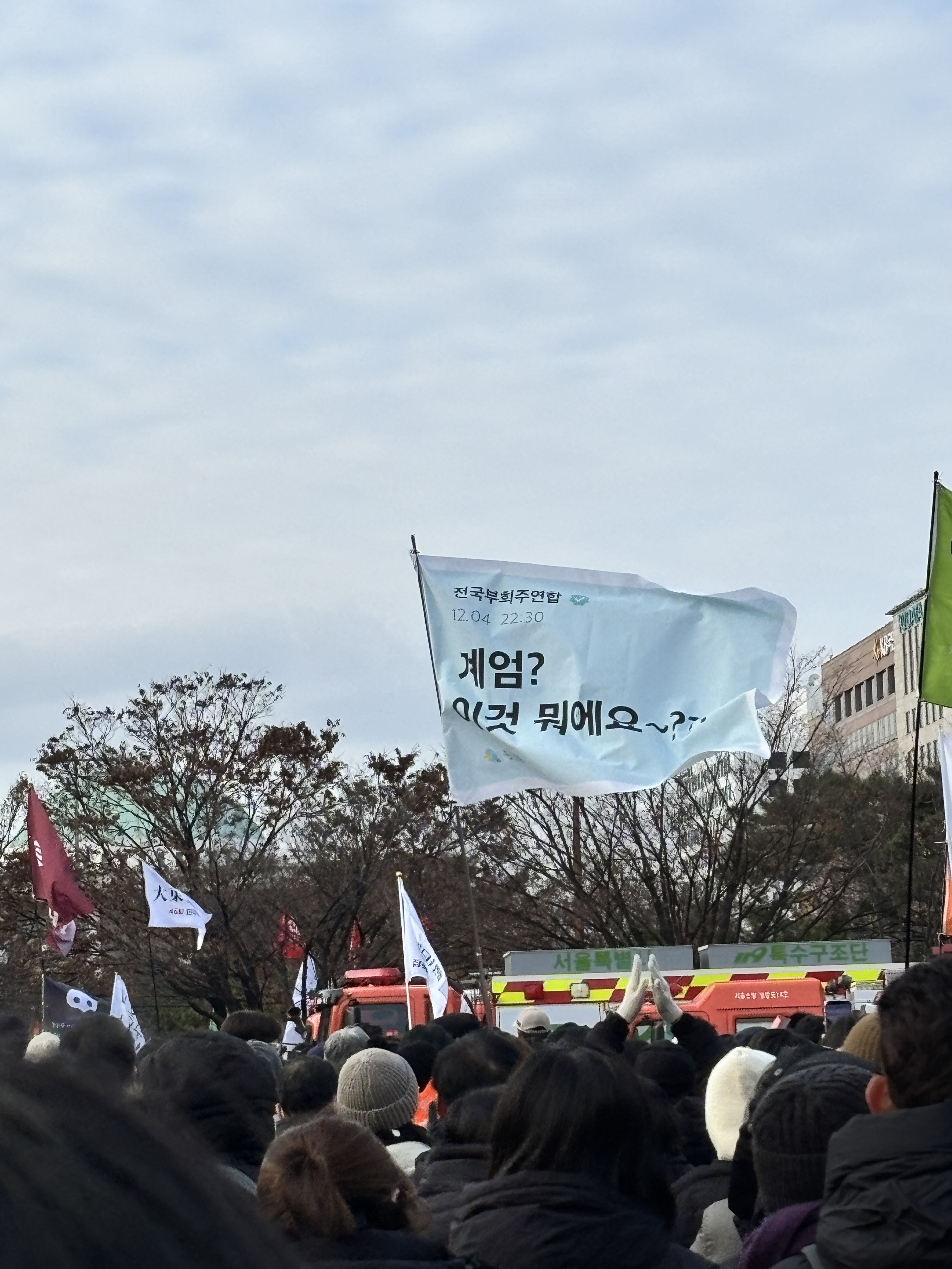 [잡담] 국회집회 가자마자 봤던 부희주깃발... | 인스티즈