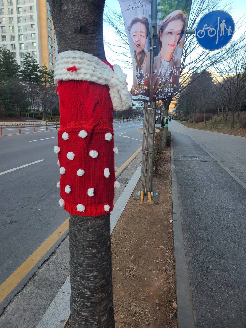 [잡담] 울동네 나무들 꼬까옷입은거 넘 귀엽지않니 | 인스티즈