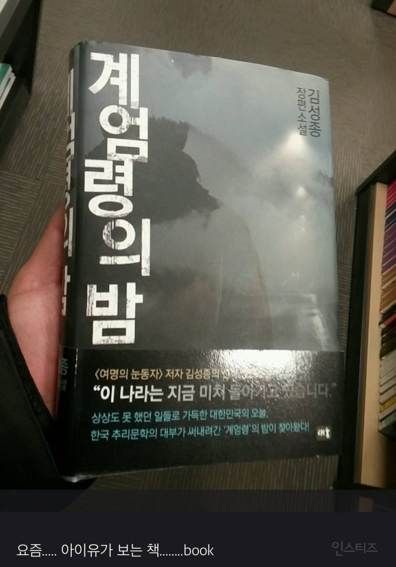 가수 아이유의 탄핵집회 역조공과 정치색 연관성 관련 글 (다들 읽어주시길) | 인스티즈