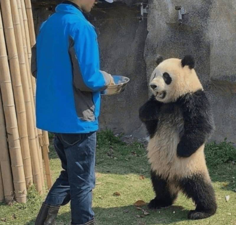 [잡담] 죳또마떼 오니쨩!! 이 사료는 싫다고 했잖아ㅡ!!!! | 인스티즈