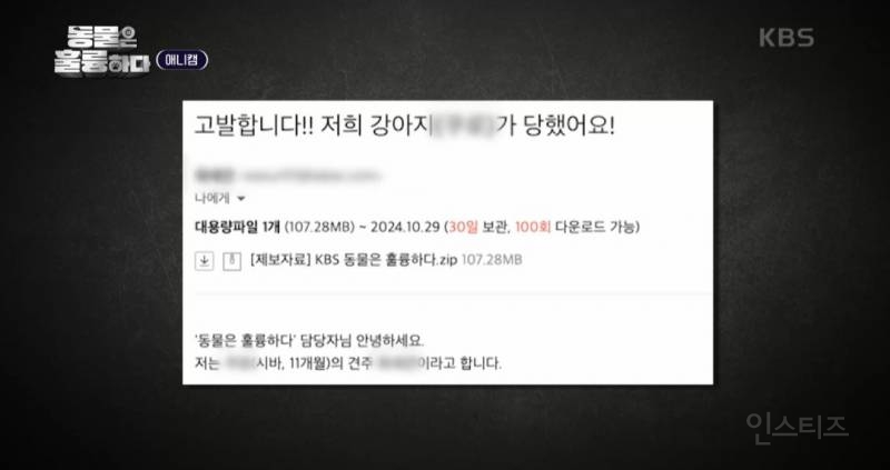 [동훌륭] [분노주의] 반려견 유치원에서 벌어진 끔찍한 사고?! | 인스티즈