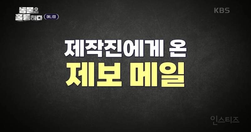 [동훌륭] [분노주의] 반려견 유치원에서 벌어진 끔찍한 사고?! | 인스티즈