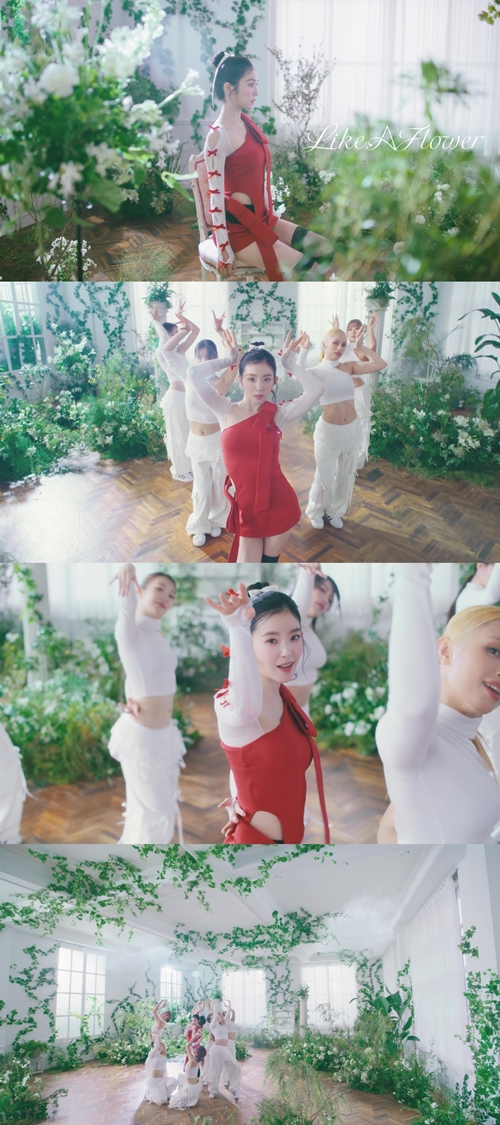 [정보/소식] 레드벨벳 아이린, 'Like A Flower' 퍼포먼스 비디오 공개 | 인스티즈