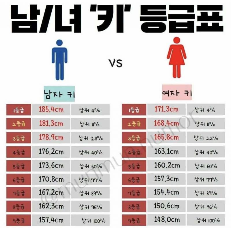 [잡담] 여자 키 등급표라는데 | 인스티즈