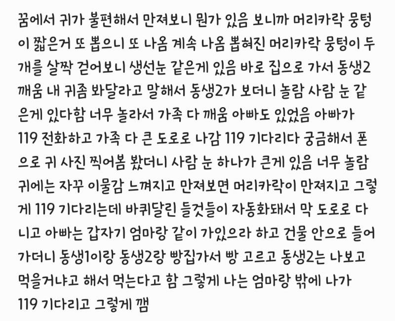 [잡담] 진짜 소름 끼치는 꿈 꿨음 | 인스티즈