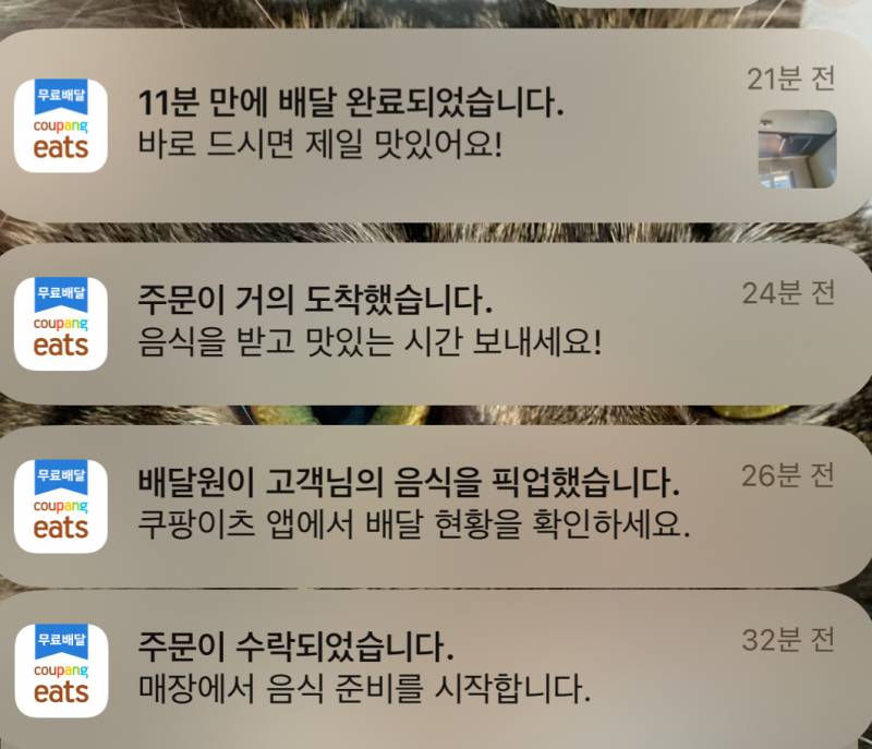 [잡담] 쿠팡이츠 배달속도 너무 심한거 아님..??? | 인스티즈