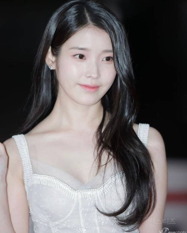 오늘자 아이유 cia 신고 언론 뜨고난 뒤 쏟아진 소식들. jpg | 인스티즈