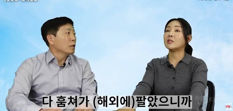 북한 고려청자 근황 | 인스티즈