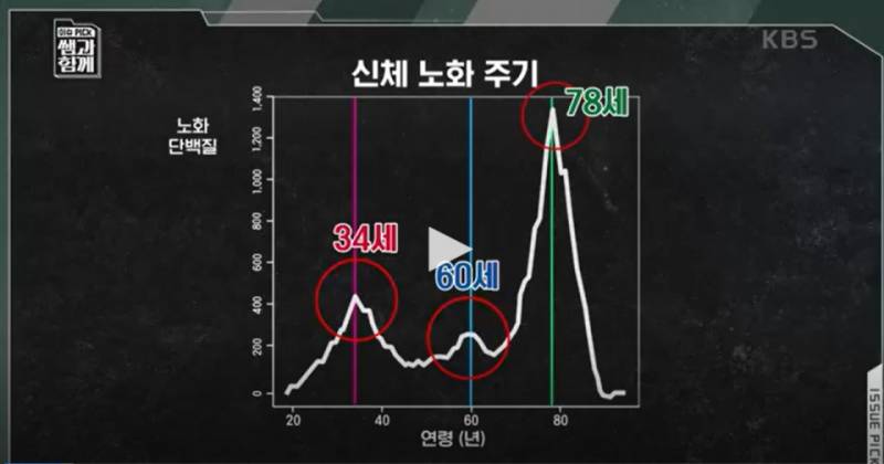 [잡담] 이거 맞는거같아.. | 인스티즈