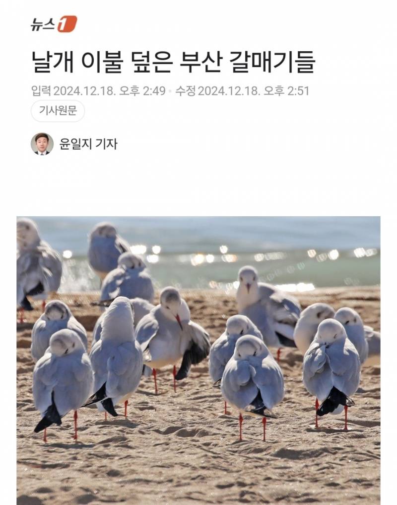 [잡담] 갈맥들 맘 아파 | 인스티즈