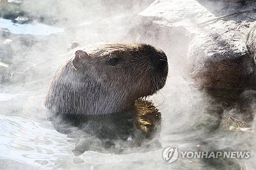 [잡담] 이 사진들 보니까 뭔가 맘이 편안해진다....ㅠ | 인스티즈