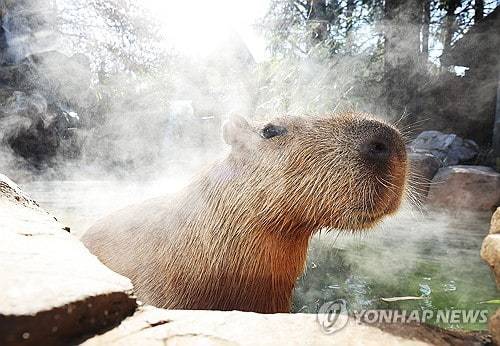 [잡담] 이 사진들 보니까 뭔가 맘이 편안해진다....ㅠ | 인스티즈