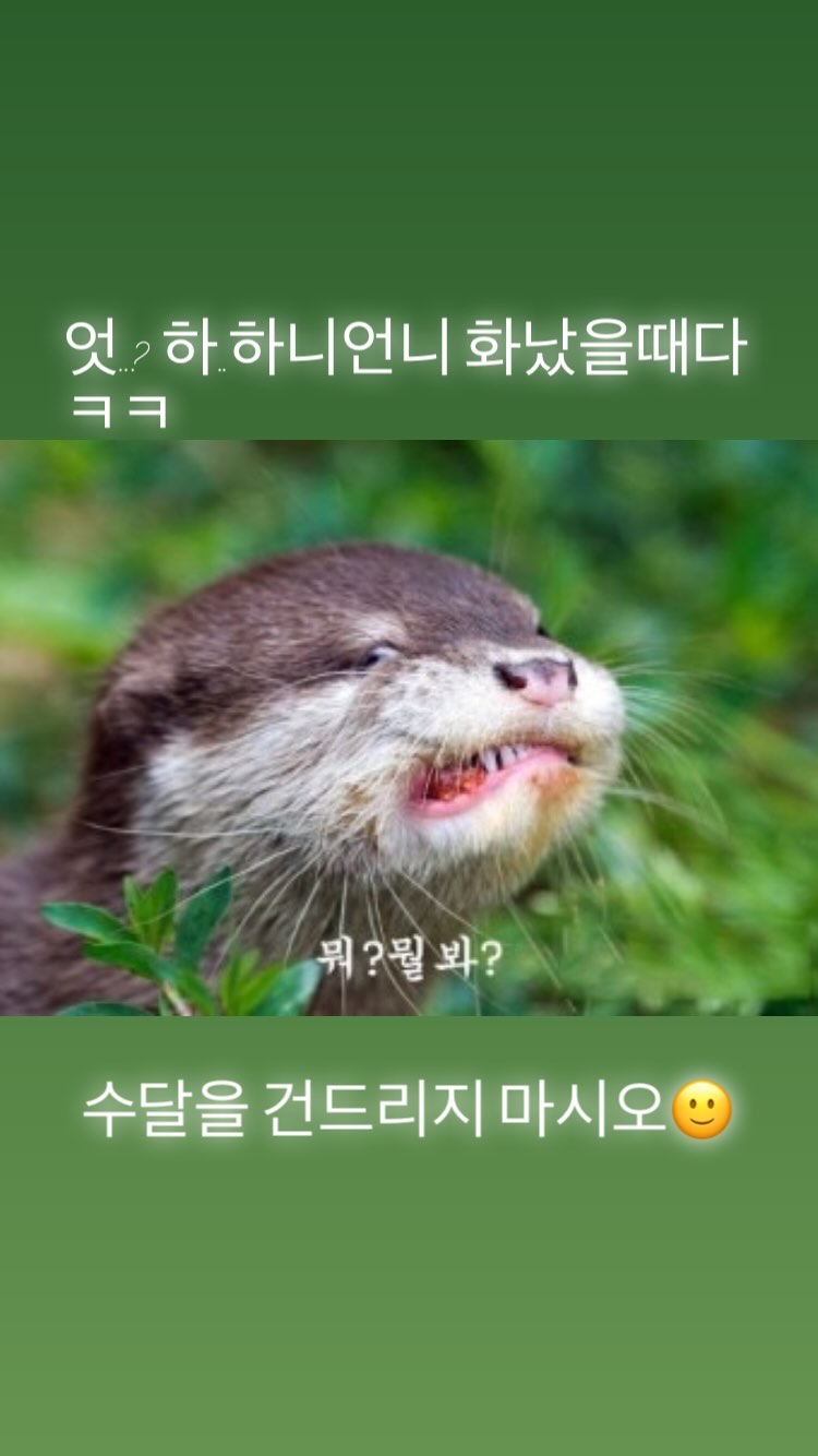 [잡담] 뉴진스 하니 화났을때 | 인스티즈