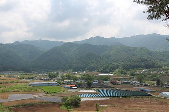 일본과 한국의 도시미관 비교 | 인스티즈