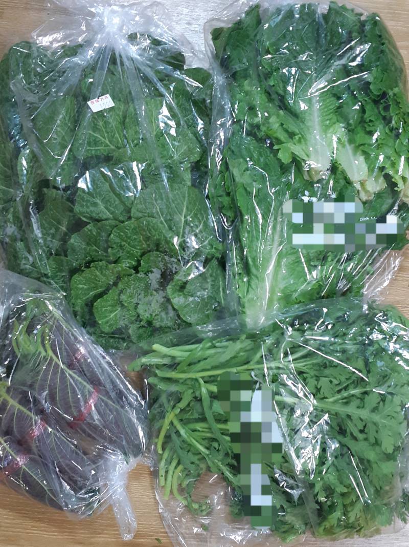 [잡담] 내일 고기 구워먹으려고 사 온 7500원어치 채소들🥬 | 인스티즈