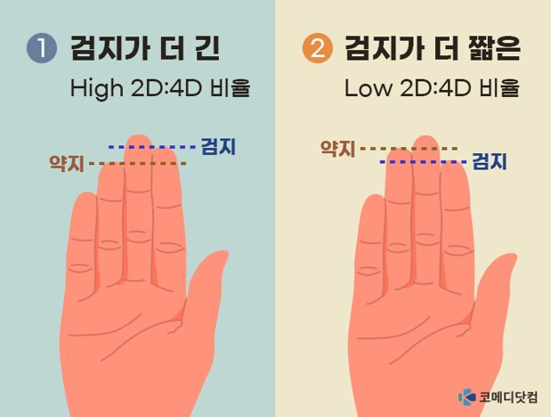 [정보/소식] "내가 대머리 될 상인가?"...손가락 '이것' 보면 안다고? | 인스티즈