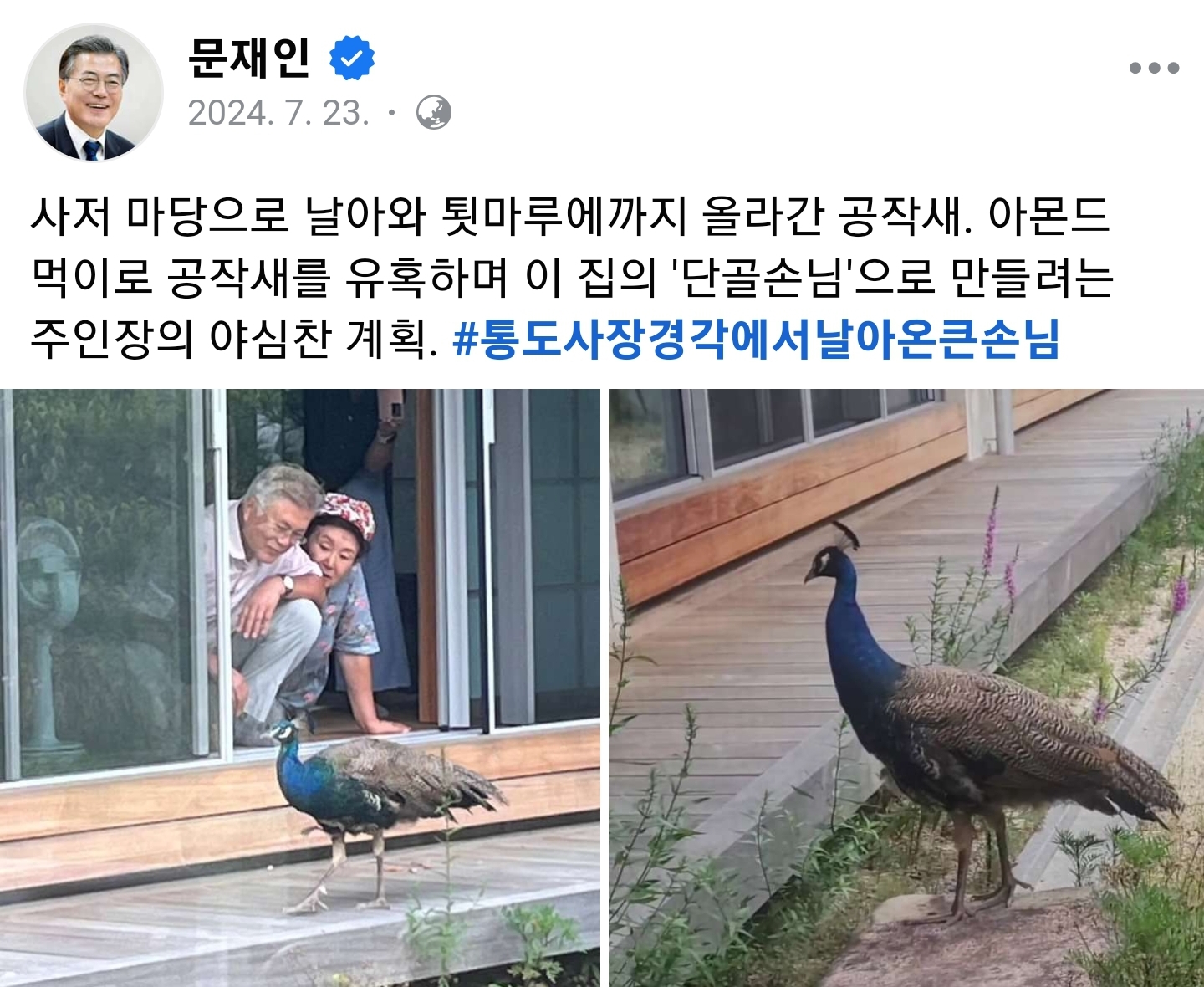 [잡담] 문재인 동물자석썰은 집에 공작 찾아온게 제일 신기 | 인스티즈