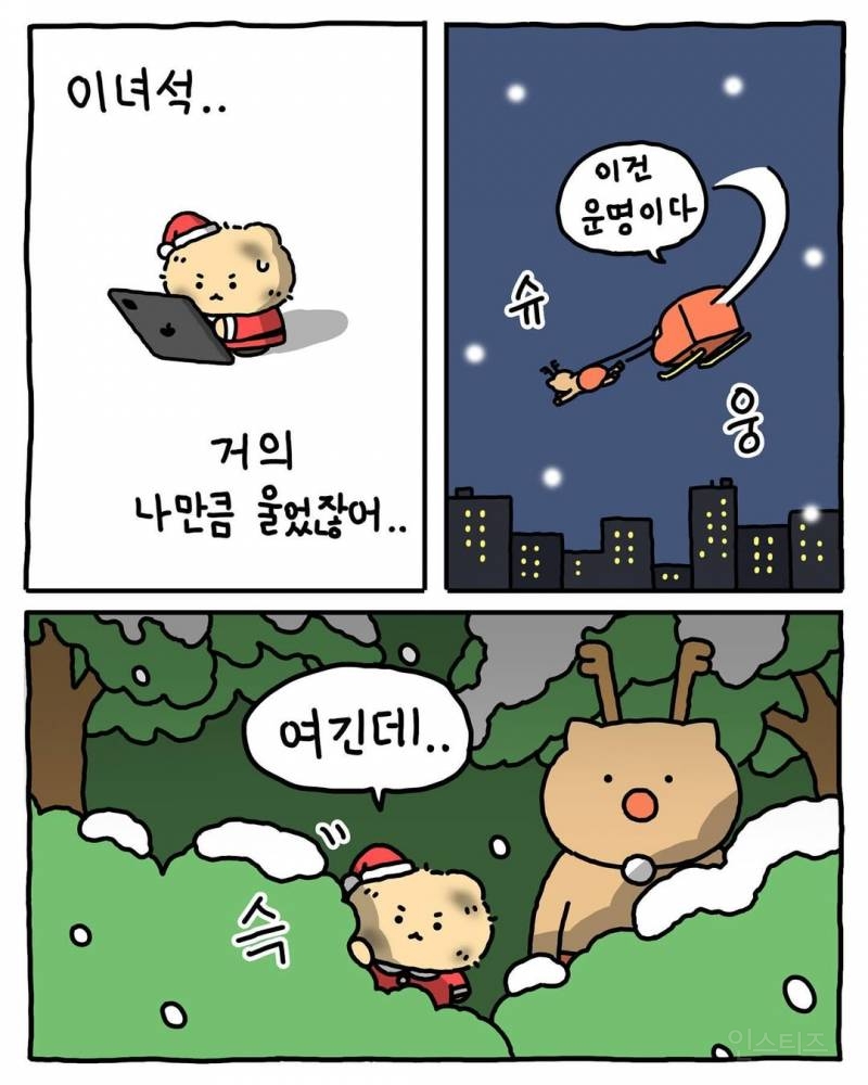 [망그러진곰] 메리 크리스마스🎄 | 인스티즈