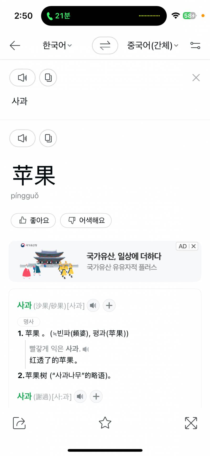 [잡담] 중국어로 파파고 쓰는 사람 있어? 병음 왜 표기 안돼? | 인스티즈