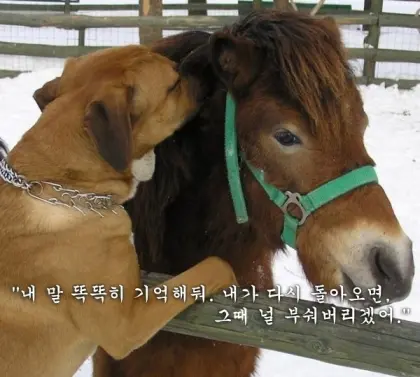 [잡담] 대학생들이 대통령한테 단체로 보낸 편지내용 영원히 웃김 | 인스티즈