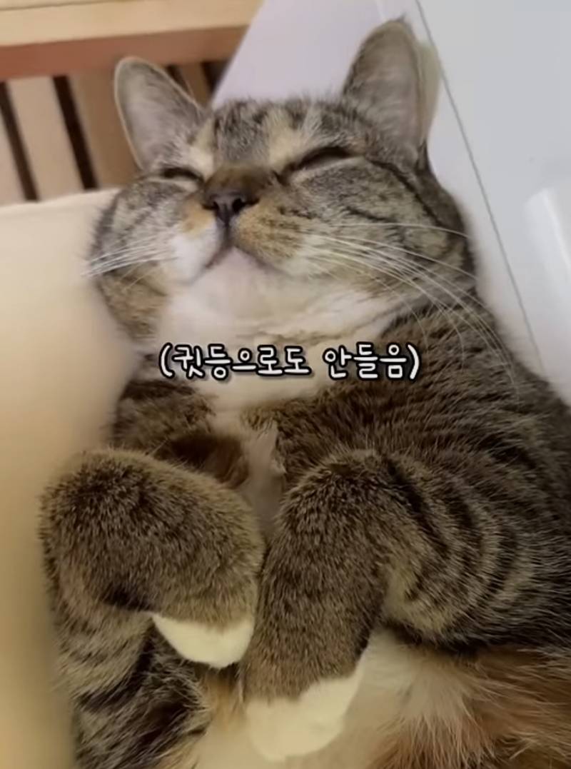 [잡담] 춘봉이 진짜 기엽다 | 인스티즈