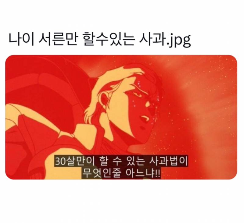 [잡담] 며칠뒤에 서른들 앞으로 사과 이렇게 하자 | 인스티즈