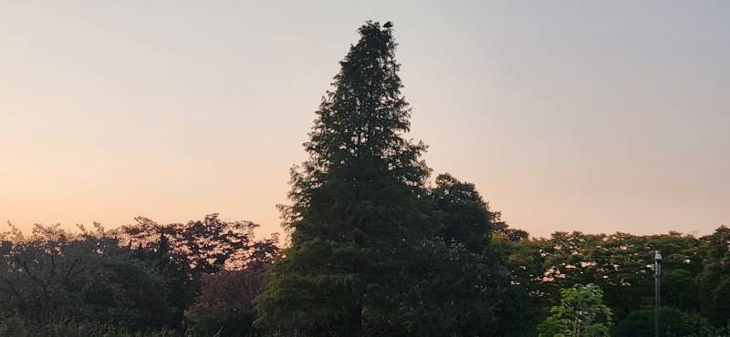 [잡담] 창원의 저녁놀 | 인스티즈