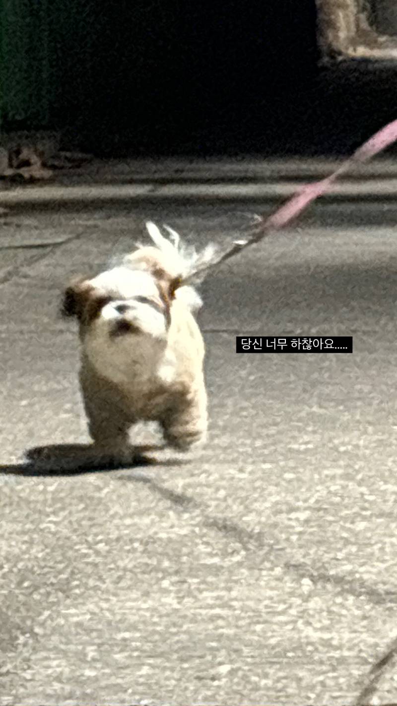 [잡담] 🐶내가 집중하는 모습을 봐줘...🐶 | 인스티즈