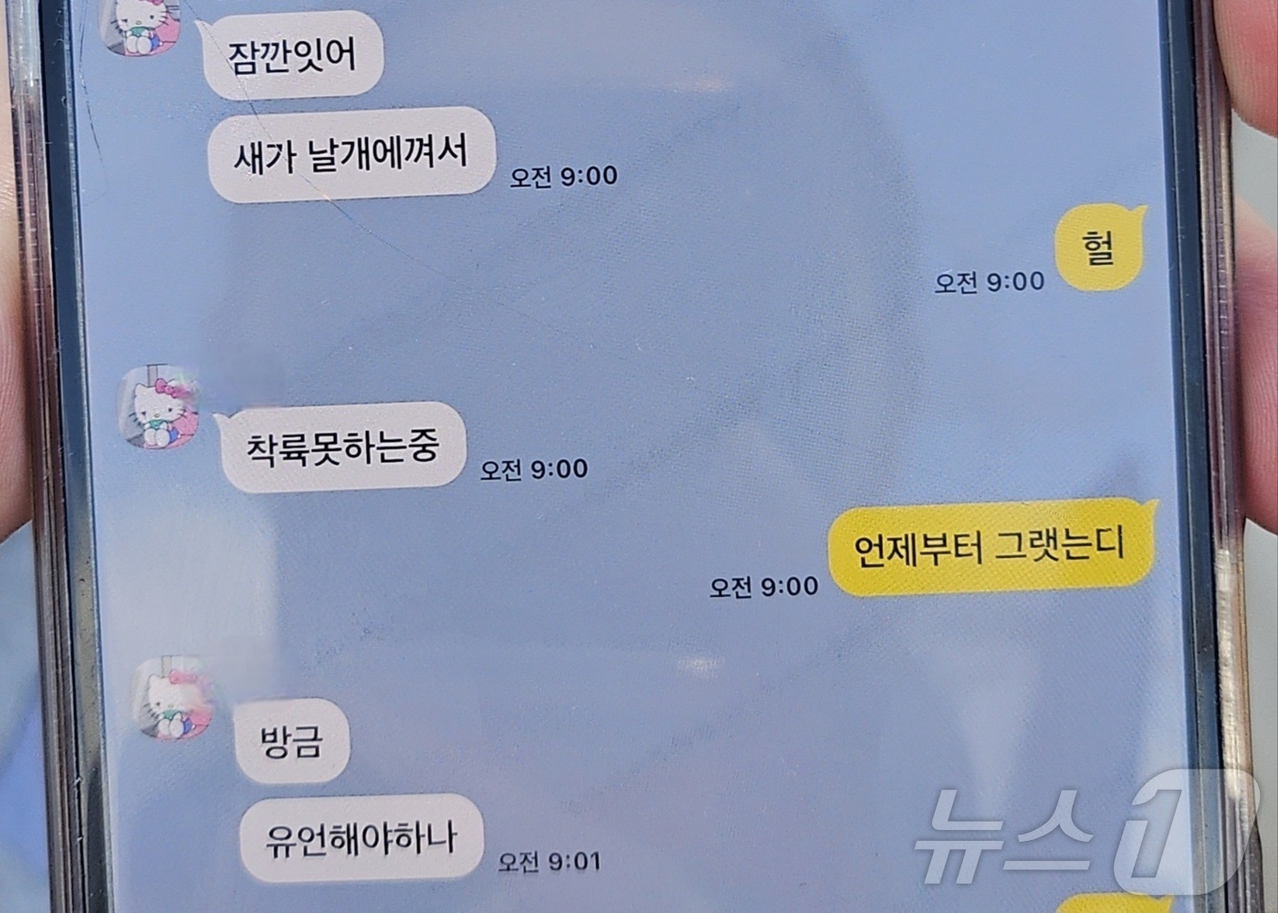 [정보/소식] 여객기 탑승객 "새가 날개에 껴서 착륙 못하는 중" 문자 후 연락두절 | 인스티즈