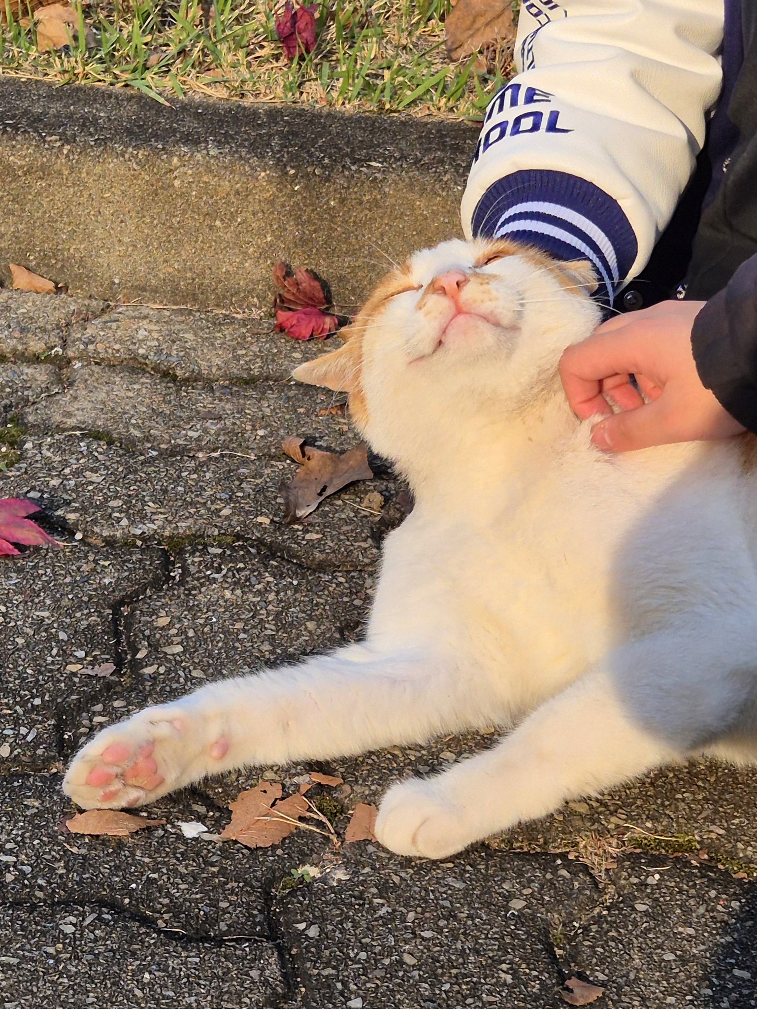 [잡담] 지금까지 한번도 안쉬고 기사만 본 익들 들어와봐 | 인스티즈