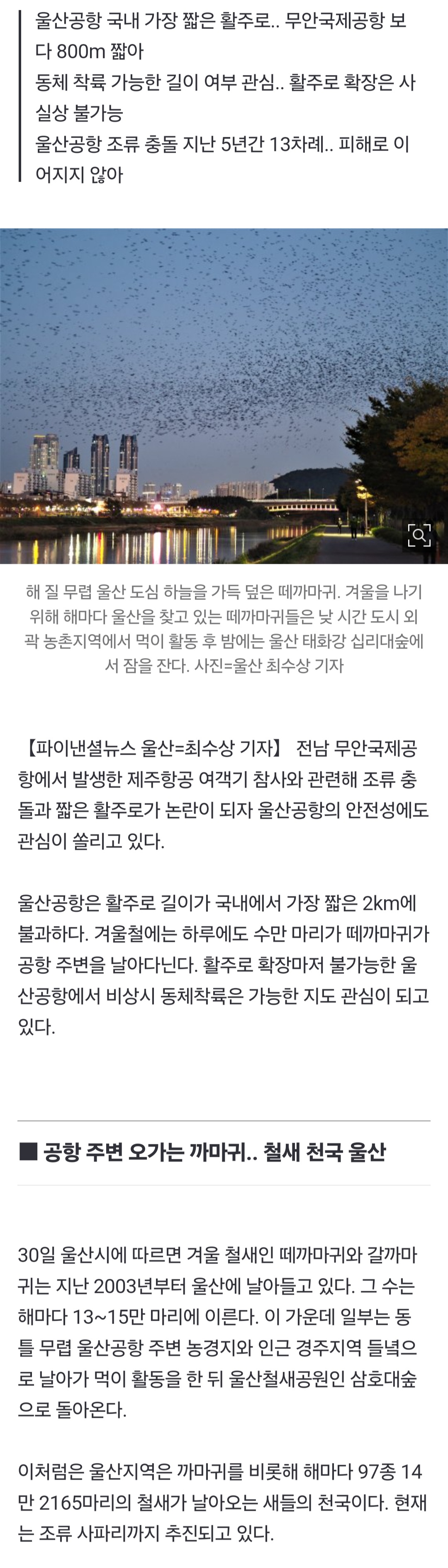 [정보/소식] 까마귀 수만 마리 날아다니고 활주로는 고작 2km 울산공항 괜찮나 | 인스티즈