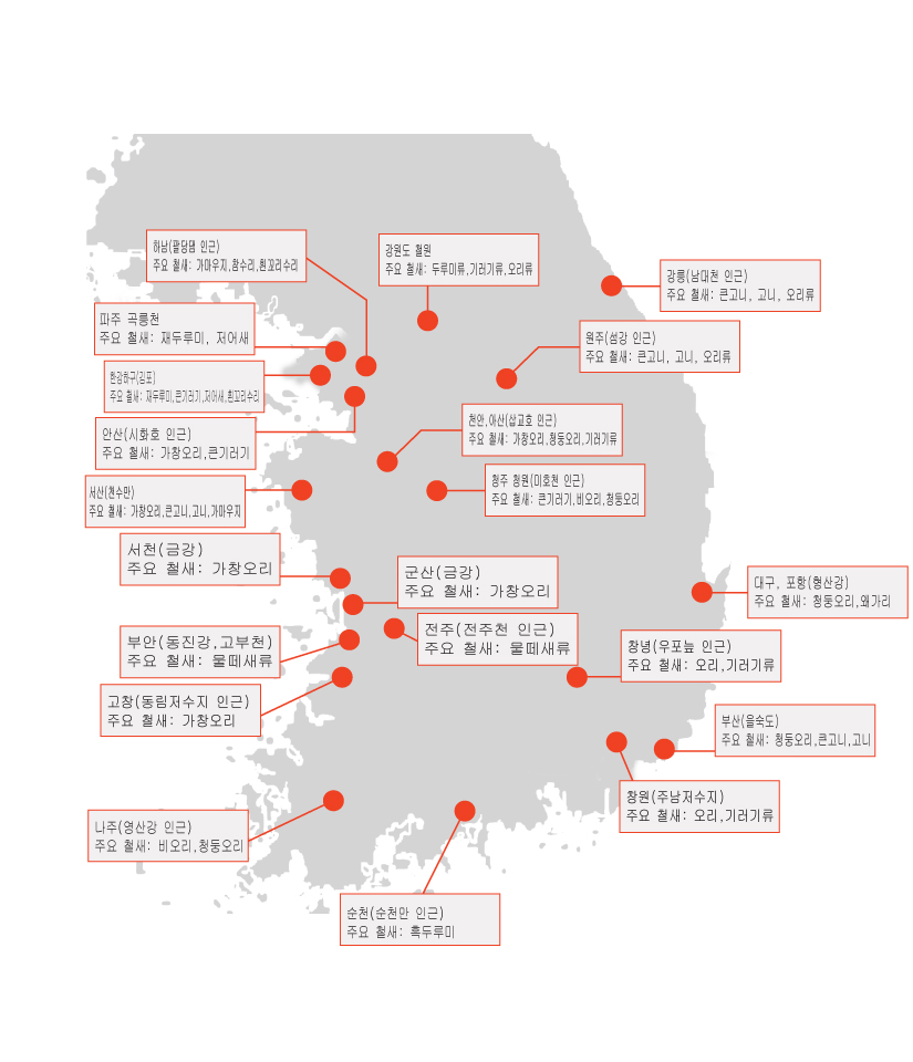 [정보/소식] ???: 철새 도래지에 공항을 왜 짓냐 | 인스티즈