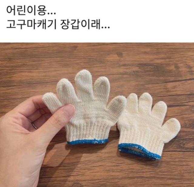 [잡담] 장난하나....어린이용 고구마캐기 장갑이래... | 인스티즈