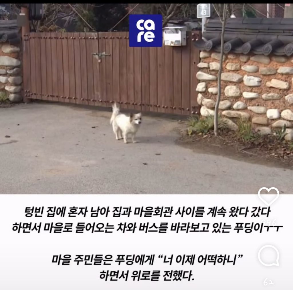 [잡담] 제주항공 사건으로 일가족 9명돌아가셔서 강아지 혼자남은집 구조할거래 | 인스티즈