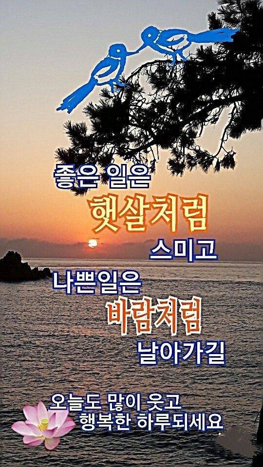 [잡담] 새해 인사말이랑 같이 보내기좋은 이미지 공유~^^ | 인스티즈