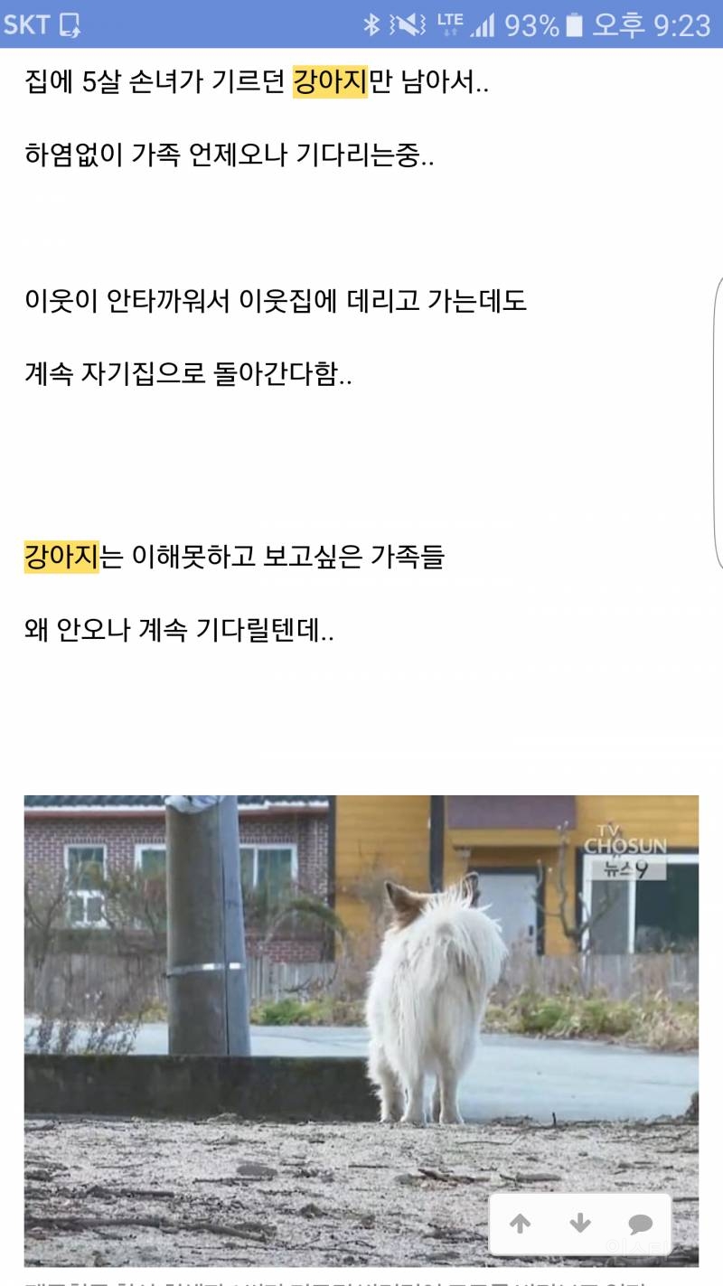 제주항공 사고 일가족 9명.. 돌아가신 집 강아지 상황 | 인스티즈