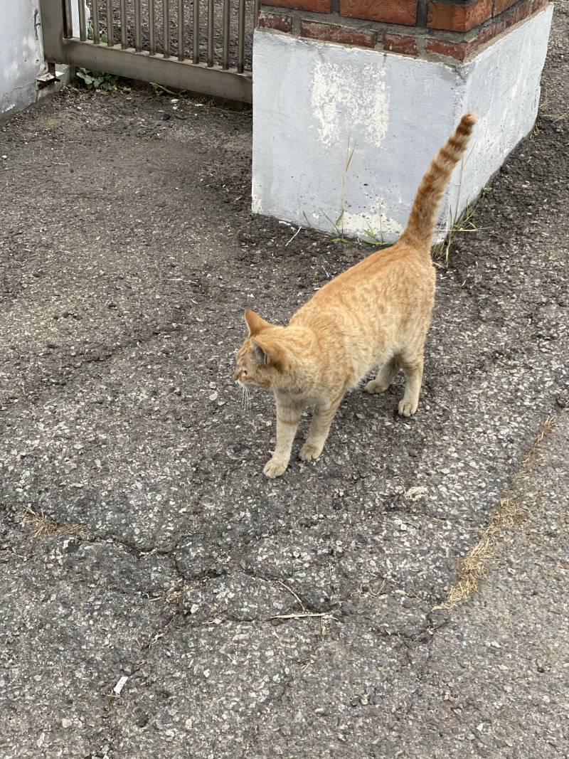 [잡담] 전회사 그리운 거 딱 하나ㅠㅠㅠㅠ | 인스티즈