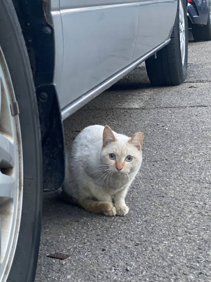 [잡담] 전회사 그리운 거 딱 하나ㅠㅠㅠㅠ | 인스티즈