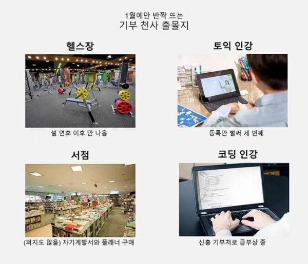 연초 매출이 가장 높은 곳들.jpg | 인스티즈