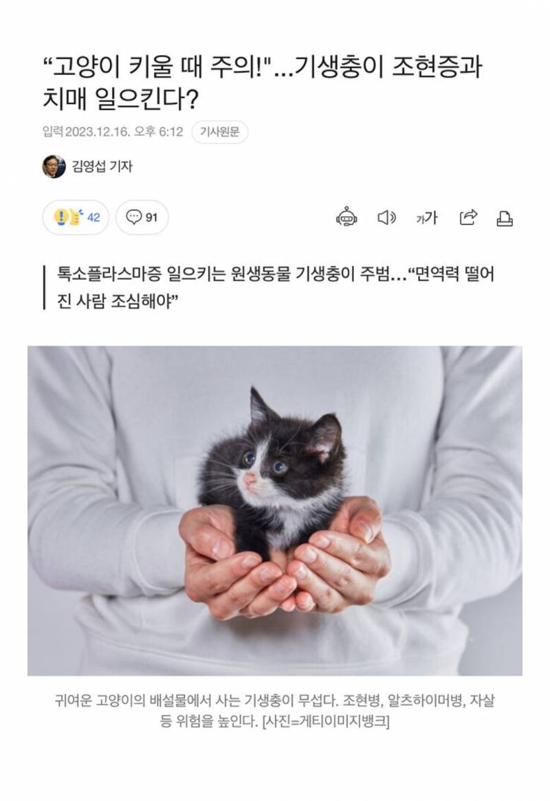 [잡담] 길고양이 함부러 만지면 안되는 구나 | 인스티즈