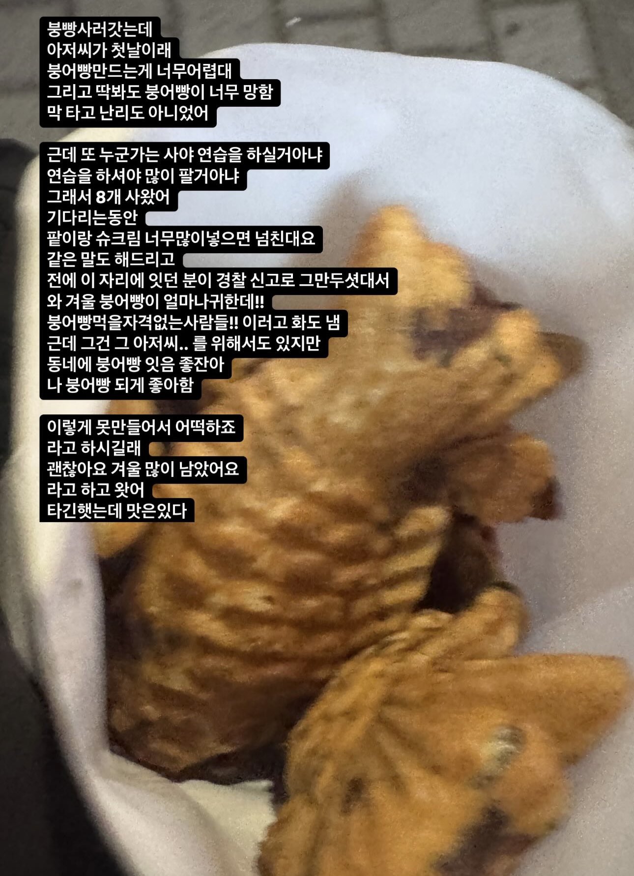 [잡담] 오늘 공수처 때문에 너무 열받았는데 붕어빵글 보고 힘을냄 | 인스티즈