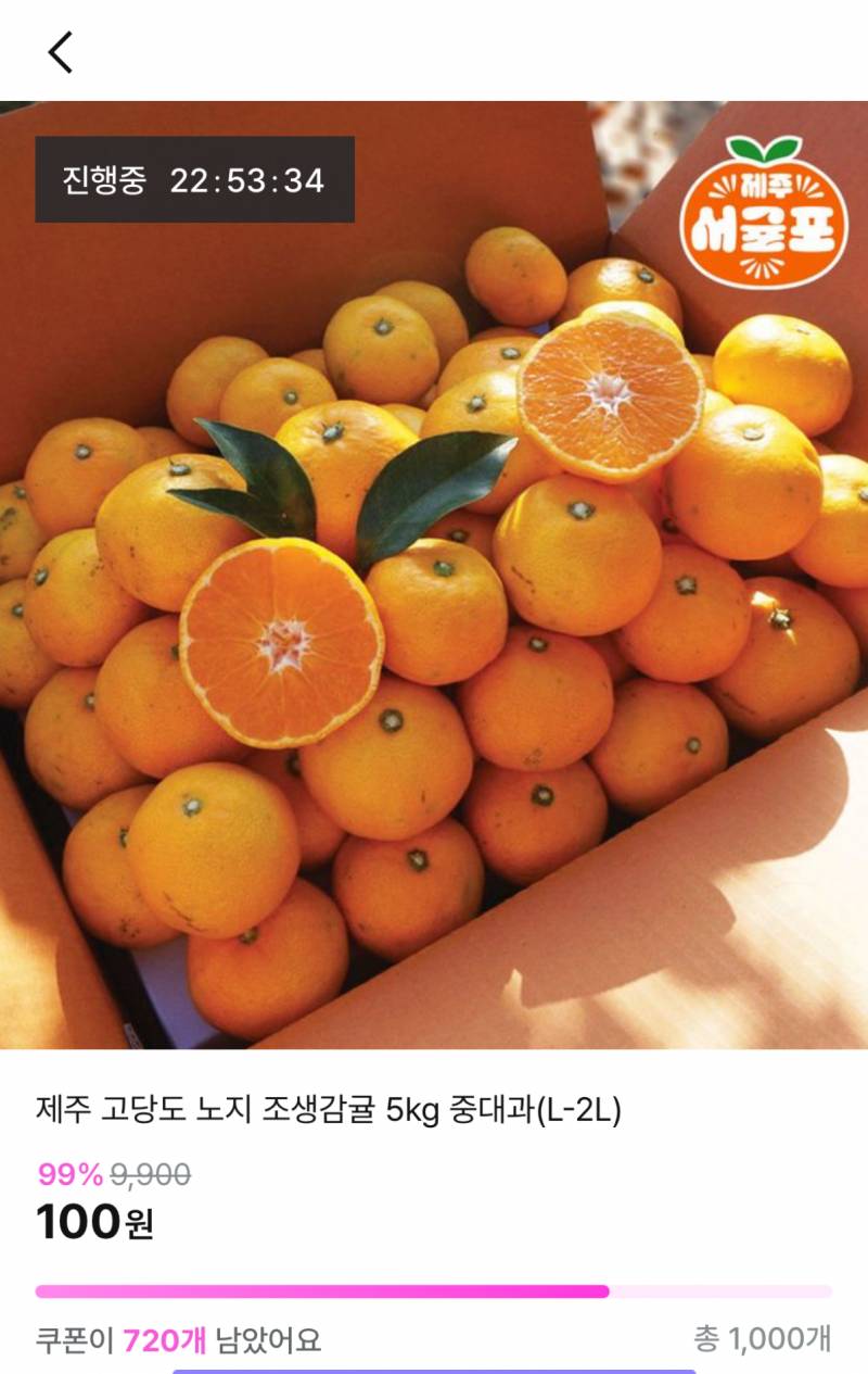 [잡담] 🧡귤 5kg 100원! 귤 같이 먹자🍊🧡 | 인스티즈