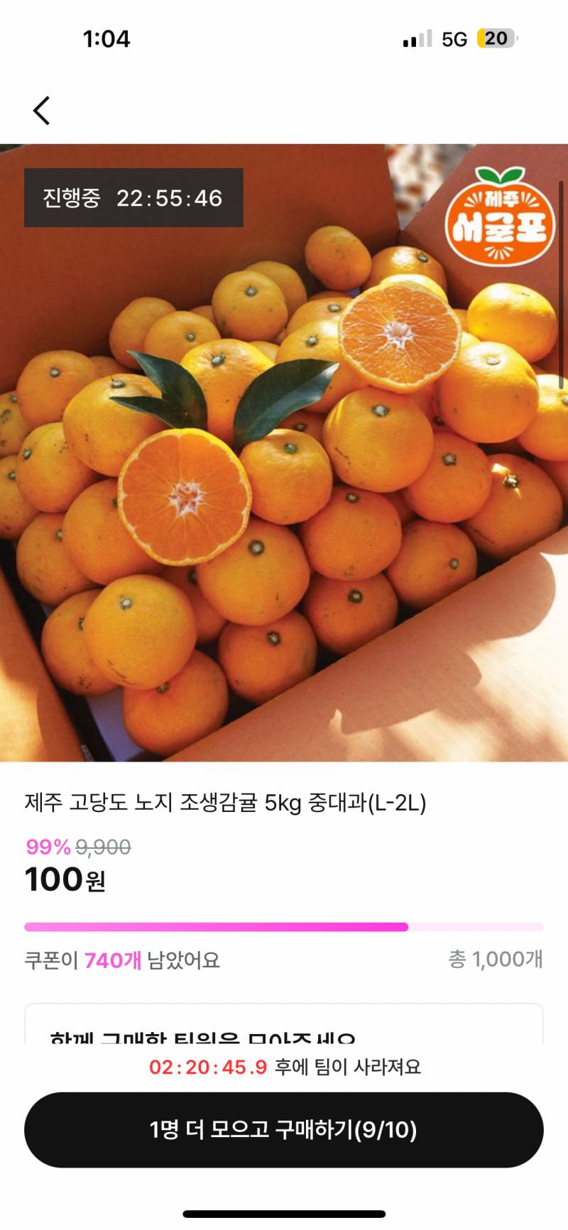 [잡담] 귤 먹을 사람 🍊 1명 남았어! 인증 | 인스티즈