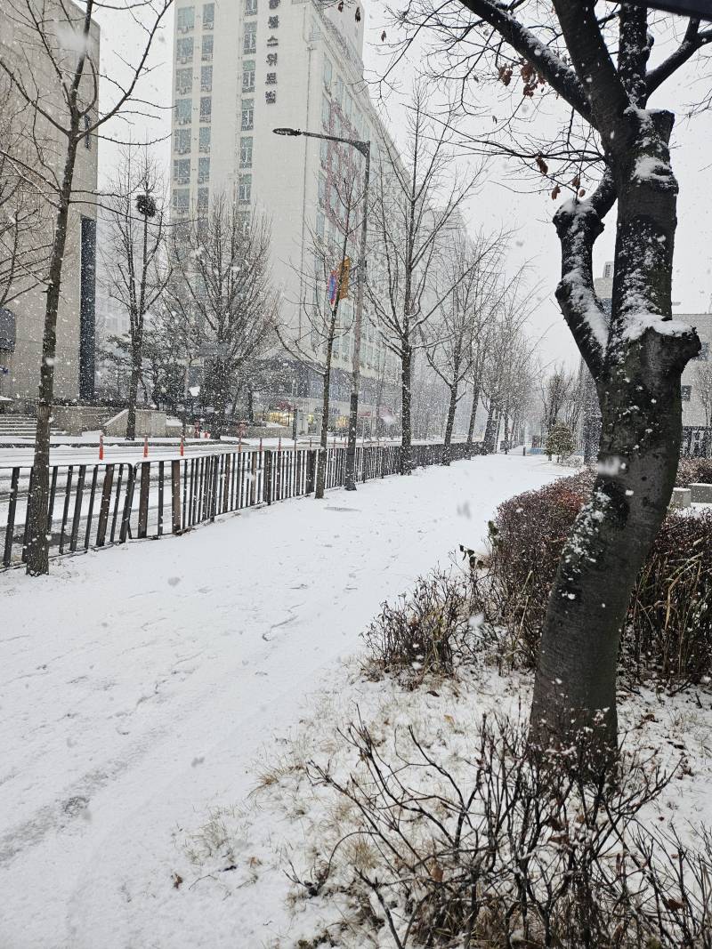 [잡담] 와 지금 안산 폭설 미쳤어.... | 인스티즈